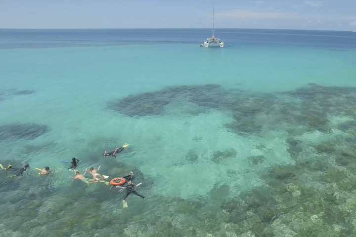 a group of people swimming in a body of water