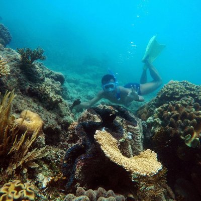 underwater view of a large rock