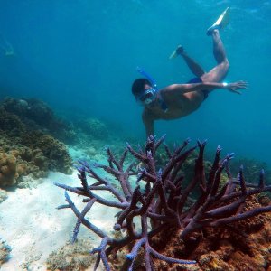 a statue of a person in a swimming pool