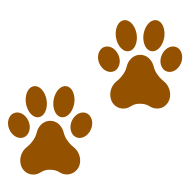 Two brown paw prints on a white background.